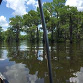 Review photo of Cajun Heritage RV Park by lana T., July 22, 2018