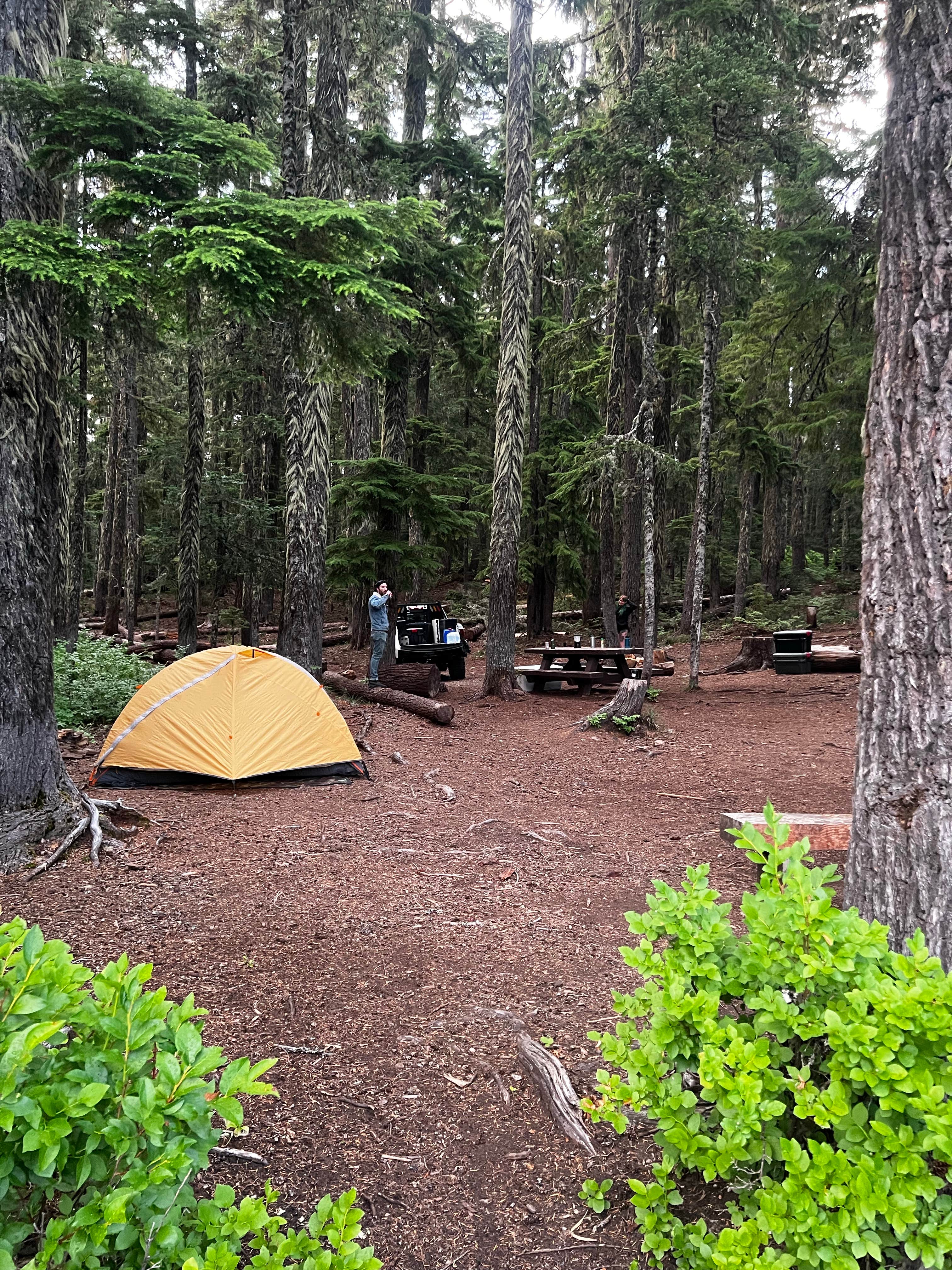 Camper submitted image from Hideaway Lake Campground - Mt. Hood National Forest - 4