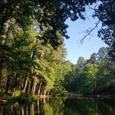 Review photo of Mission Tejas State Park Campground by Cara H., July 22, 2018