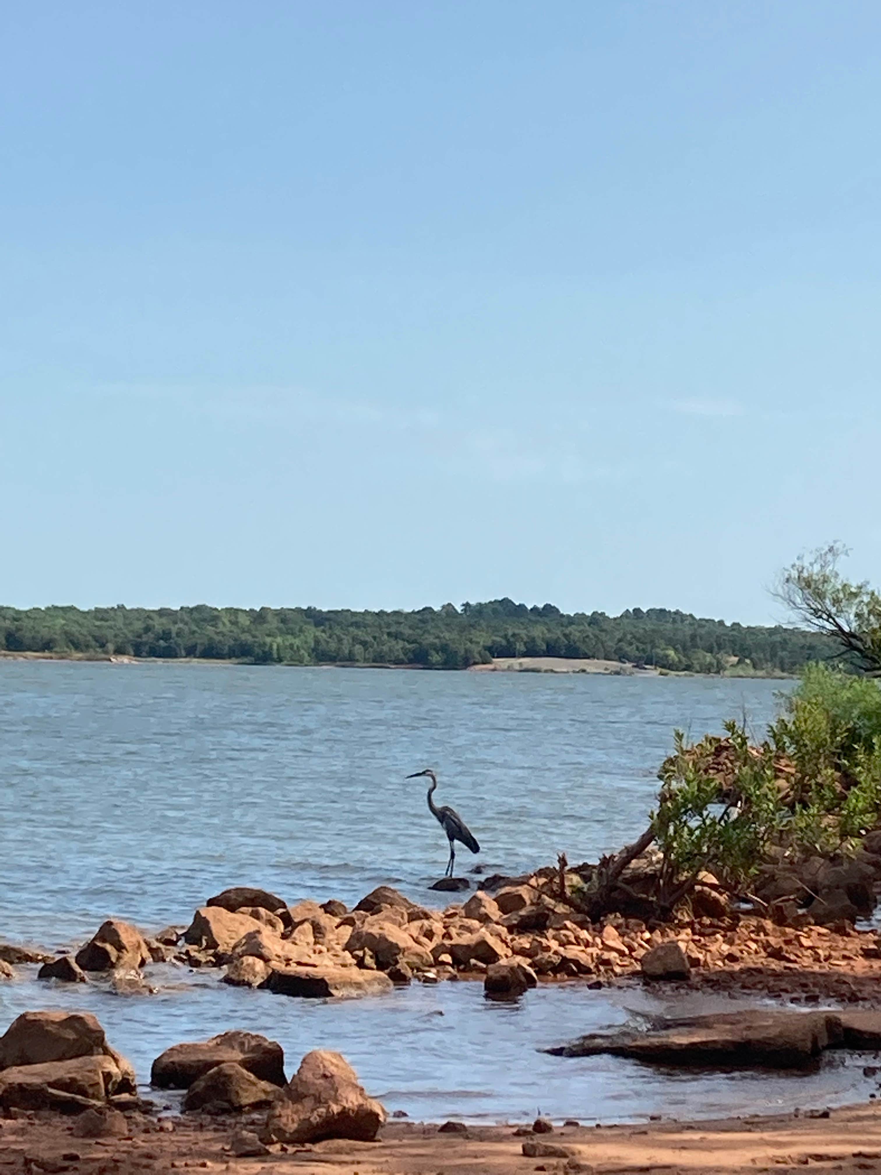 Camper-submitted photo at Critter Alley — Lake Thunderbird State Park near Goldsby, OK