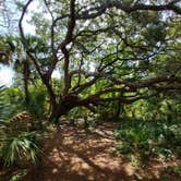 Review photo of Anastasia State Park Campground by Alex M., August 3, 2022