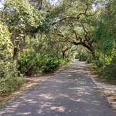 Review photo of Anastasia State Park Campground by Alex M., August 3, 2022