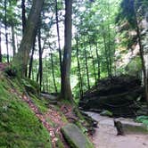 Review photo of Hocking Hills State Park Campground by not S., August 3, 2022