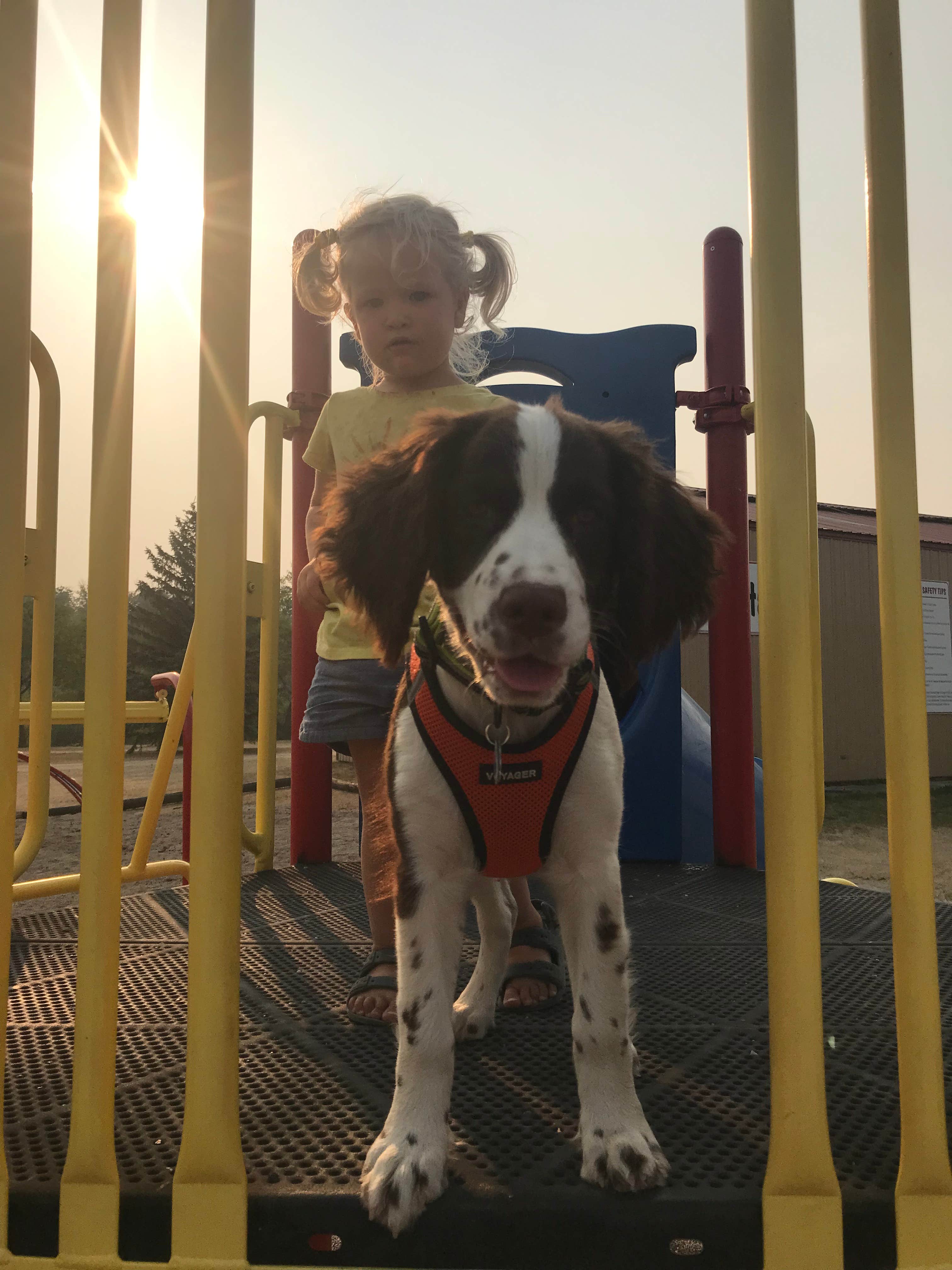 Stephanie B.'s photo of camping with pets at Voyageur's View Campground, Tubing & Kayaking near Grand Forks, ND
