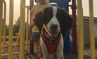 Stephanie B.'s photo of camping with pets at Voyageur's View Campground, Tubing & Kayaking near Fertile, MN
