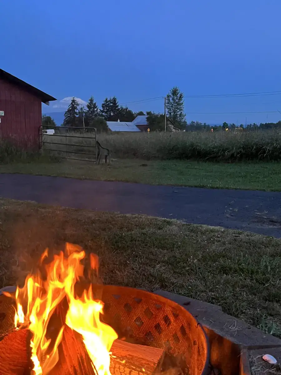 Camper-submitted photo at Netties Mountain View Retreat near Lake Tapps, WA