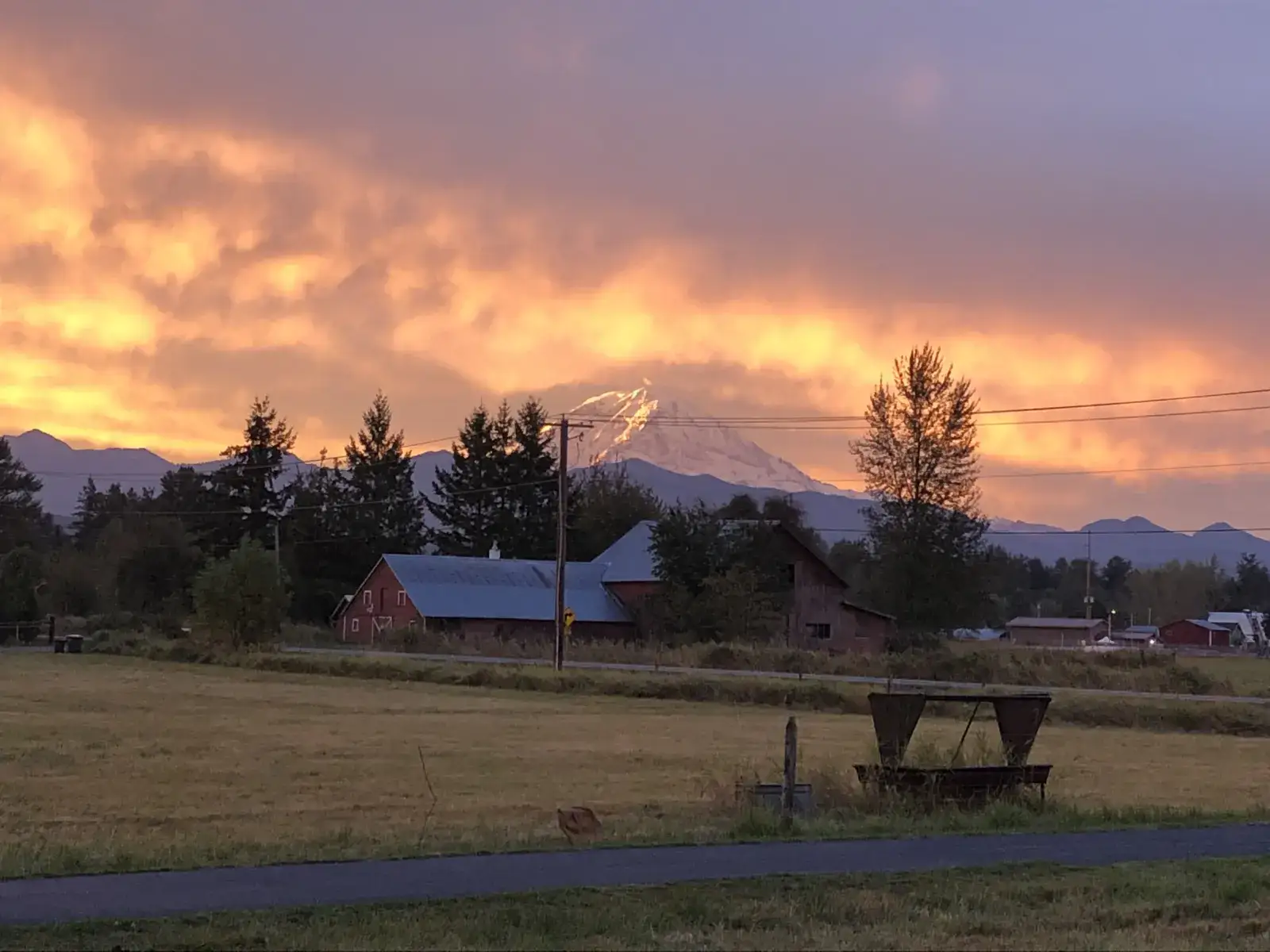 Camper-submitted photo at Netties Mountain View Retreat near Lake Tapps, WA