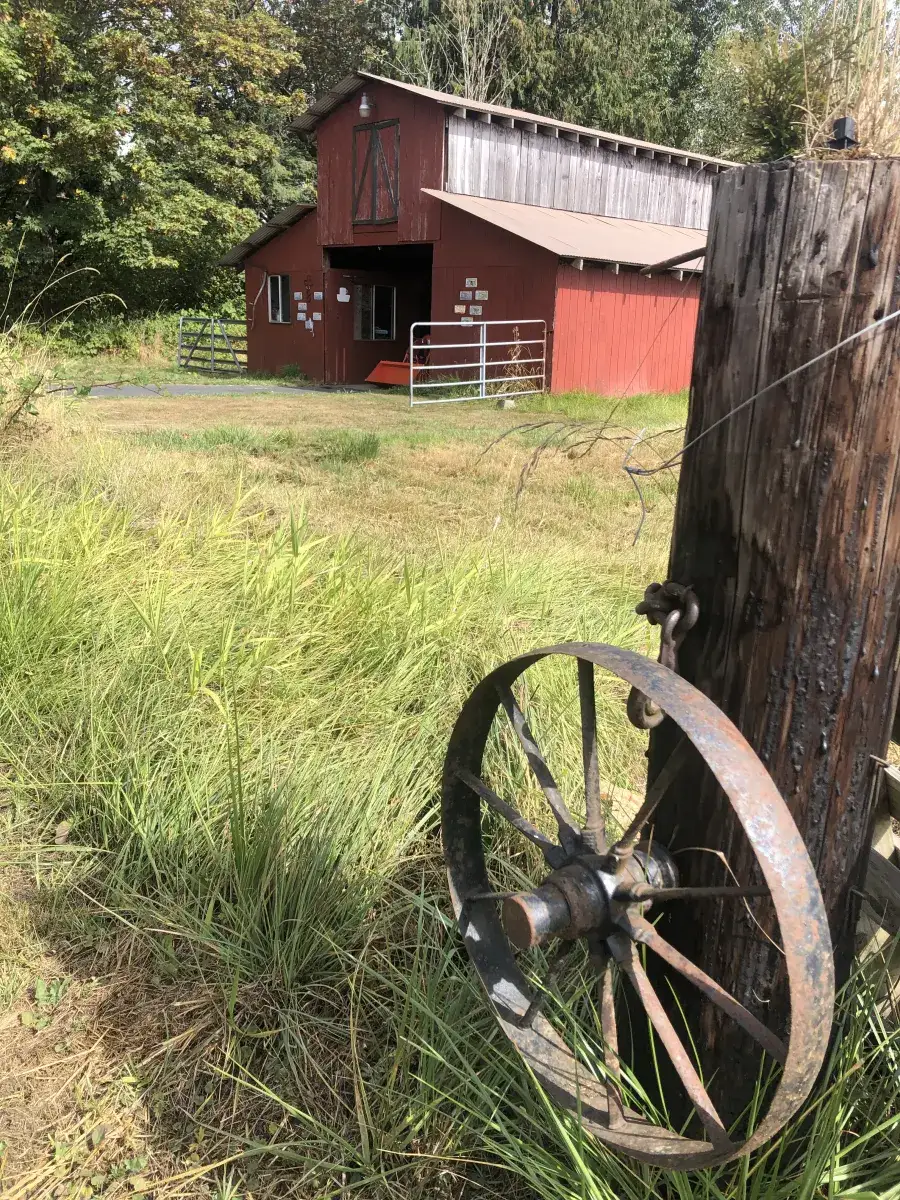 Camper-submitted photo at Netties Mountain View Retreat near Lake Tapps, WA