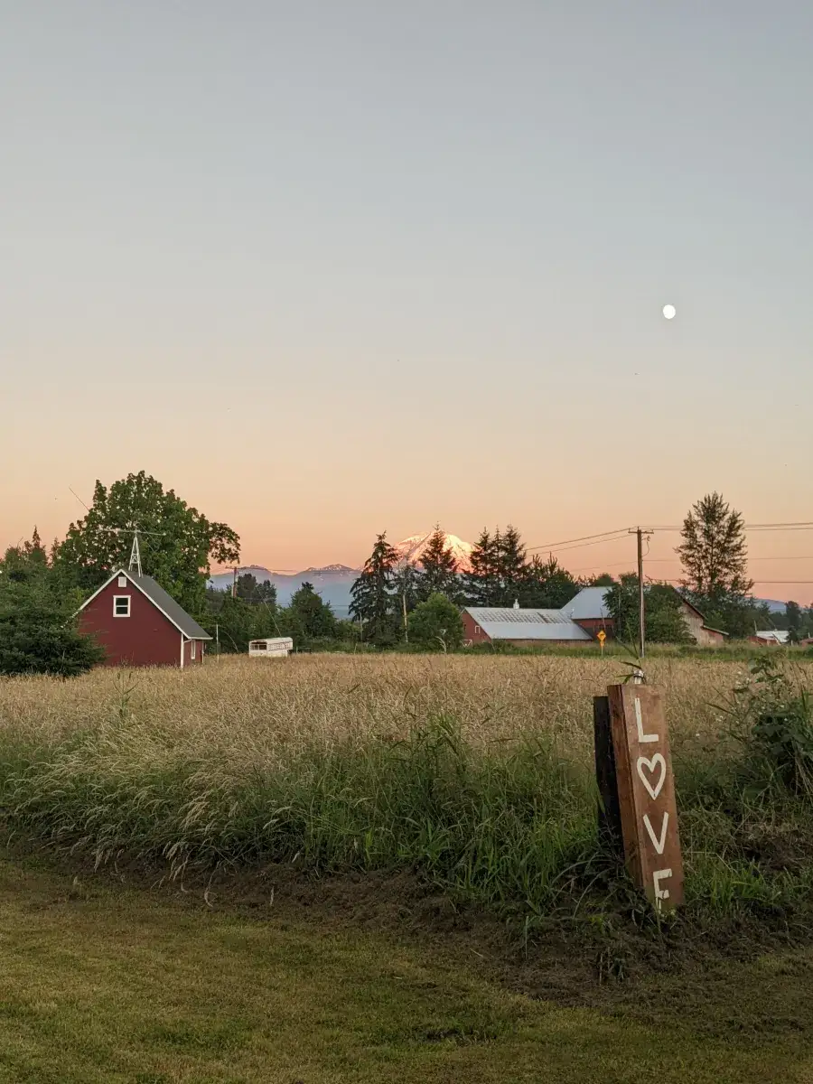 Camper-submitted photo at Netties Mountain View Retreat near Lake Tapps, WA