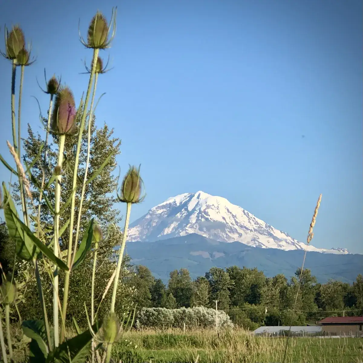 Netties Mountain View Retreat