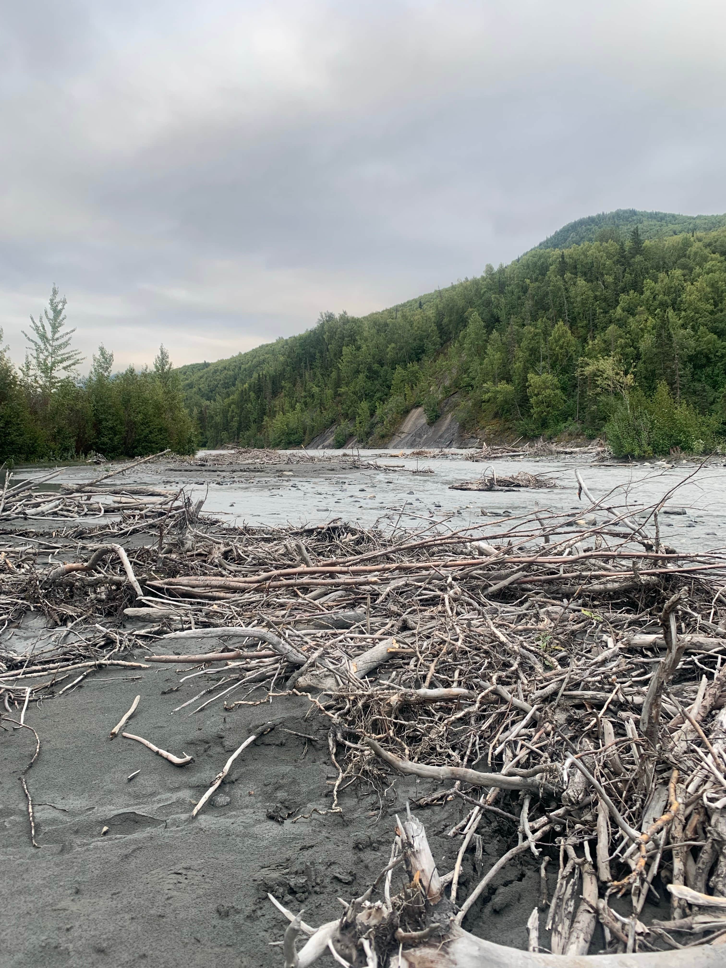 Camper-submitted photo at King Mountain State Rec Area near Sutton, AK
