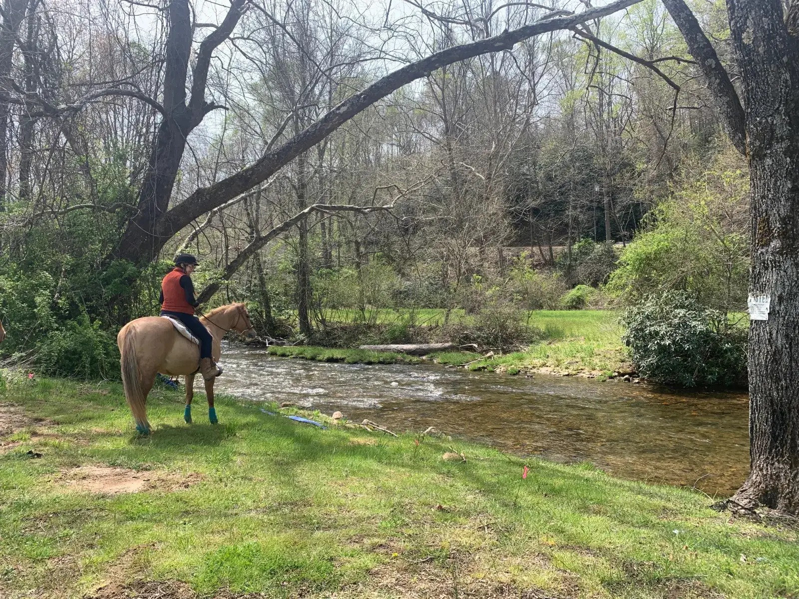 Camping near North Mills River: Riverside Camping On The Farm, Mills River, North Carolina