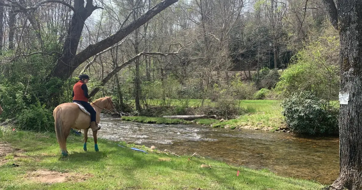 Riverside Camping On The Farm | Mills River, NC