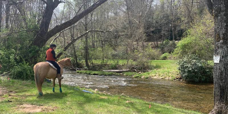 Camper submitted image from Riverside Camping On The Farm