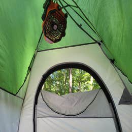 Butterfly Camping Resort