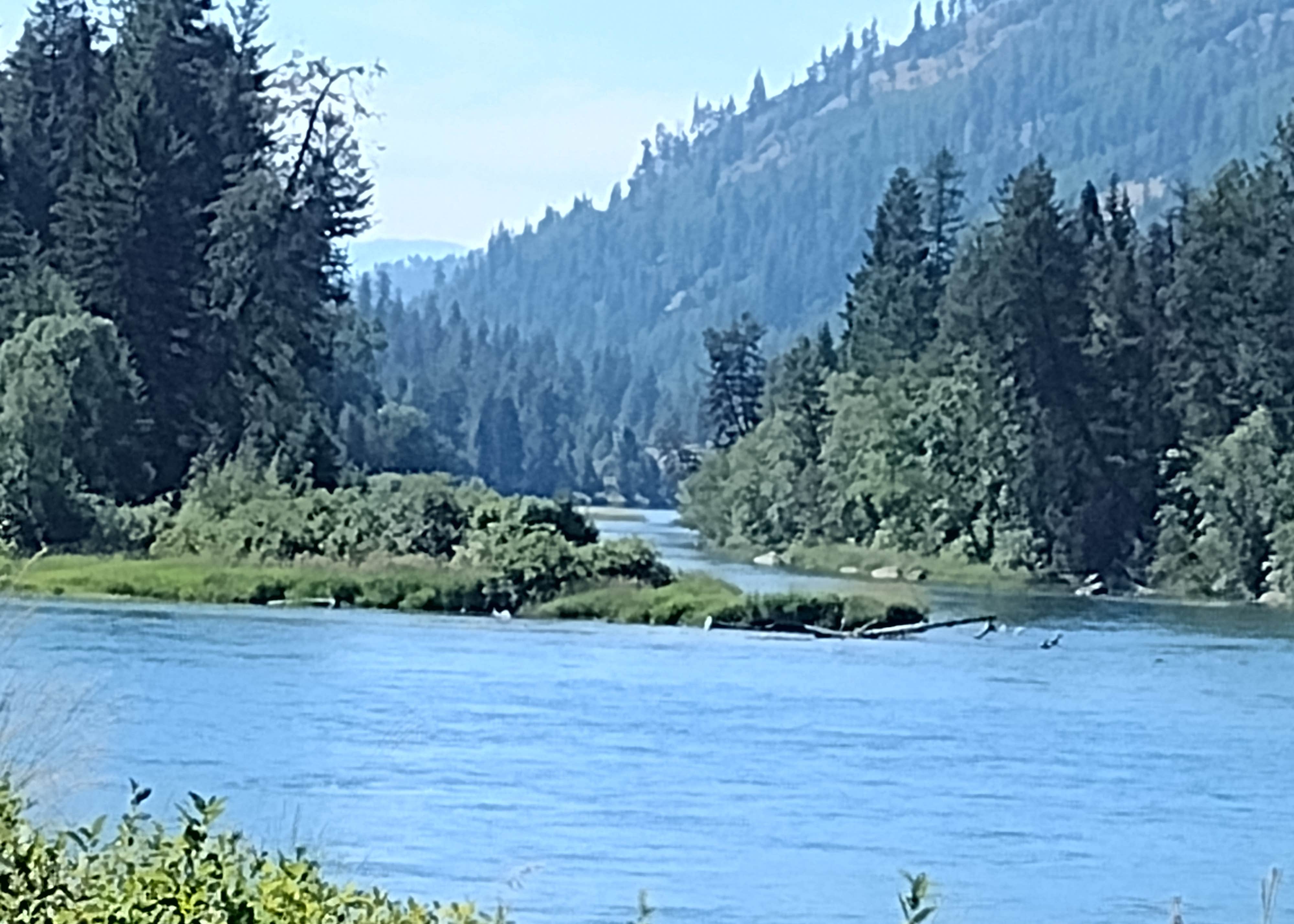 Dunn Creek Flats Campground Camping The Dyrt