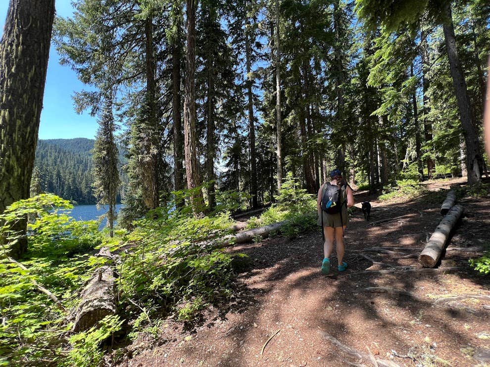 Camper-submitted photo at Owhi Campground near Cle Elum, WA