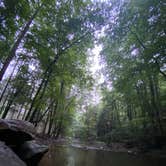 Review photo of Holly River State Park Campground by Anne S., August 3, 2022