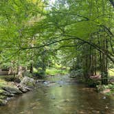 Review photo of Holly River State Park Campground by Anne S., August 3, 2022