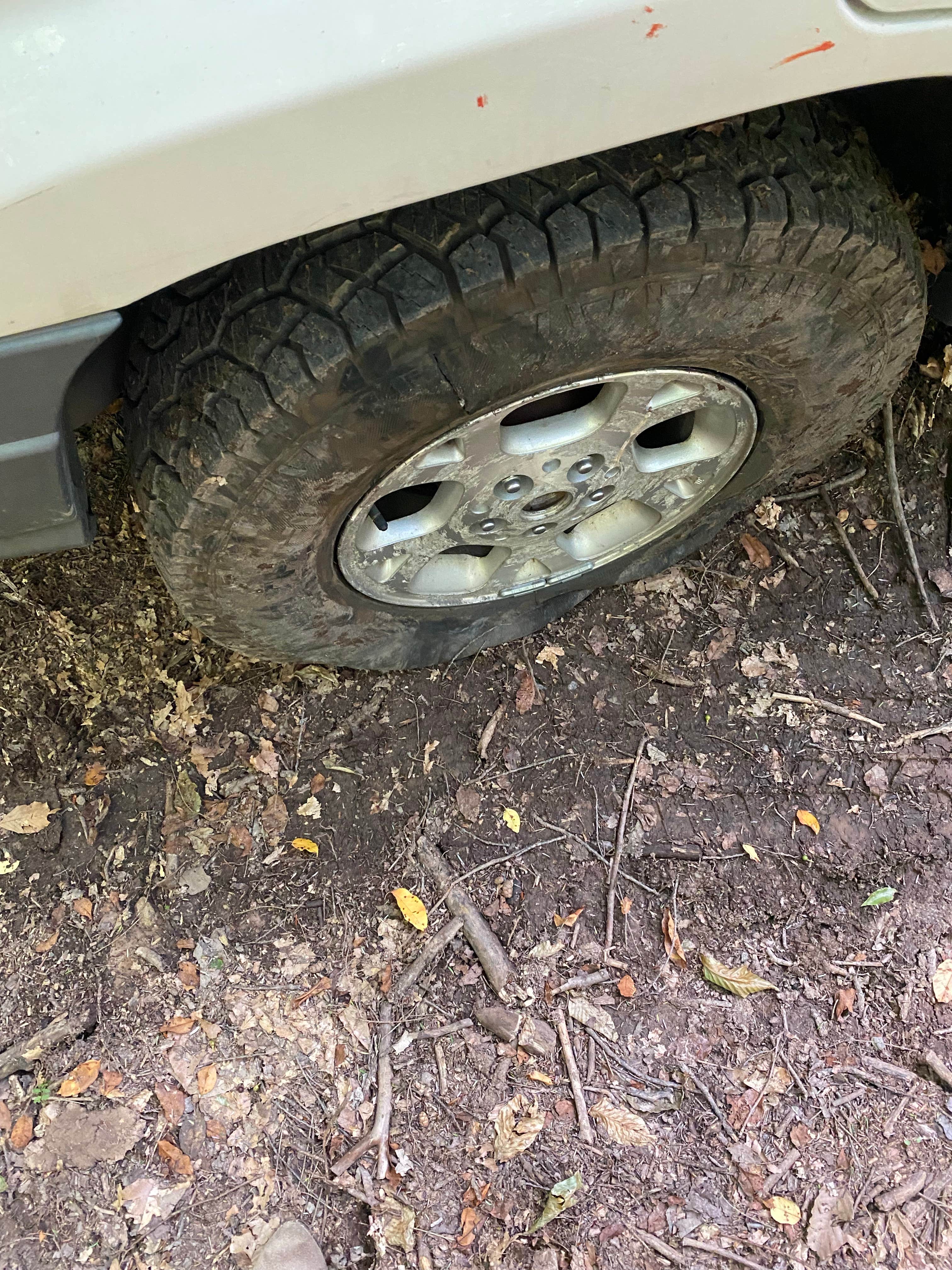 Camper-submitted photo at Mead Road Campsites — Loyalsock State Forest near Eagles Mere, PA