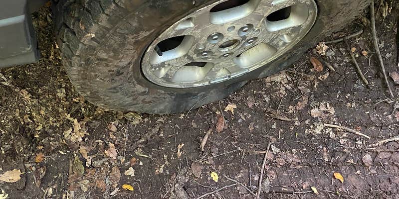 Camper submitted image from Mead Road Campsites — Loyalsock State Forest