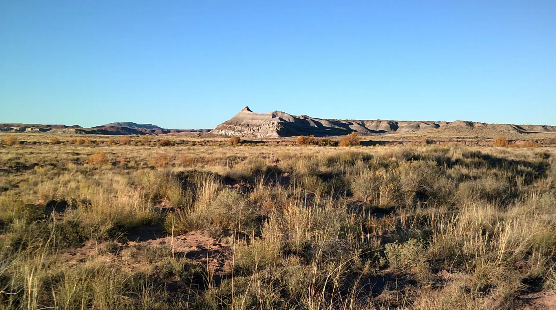 Camper-submitted photo at Painted Desert Ranger Cabin near Chambers, AZ