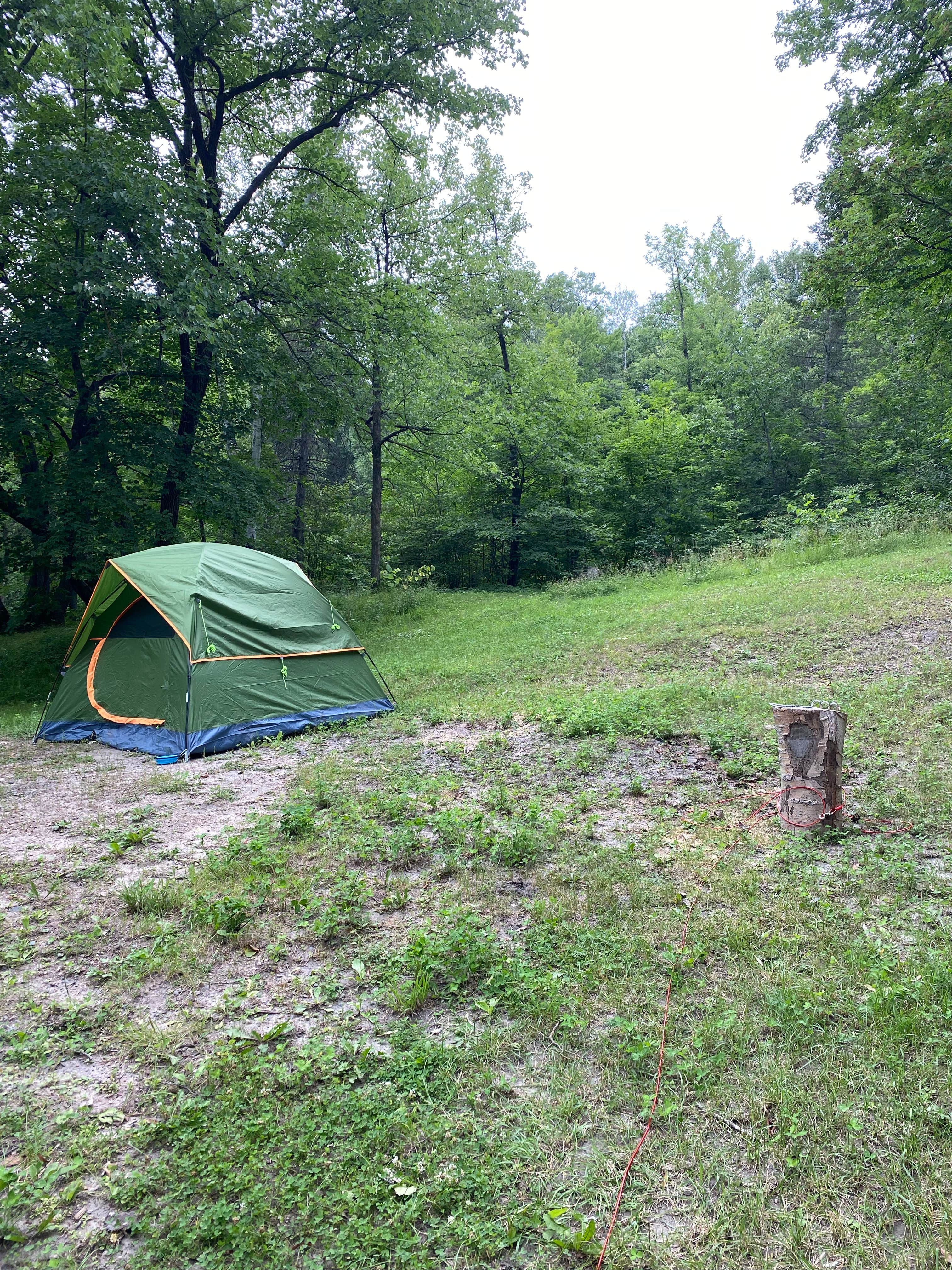 Dispersed Camping near Chippewa National Forest MN 11 Best