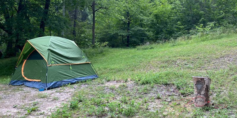 Camper submitted image from Little Gulch Lake canoe campsite