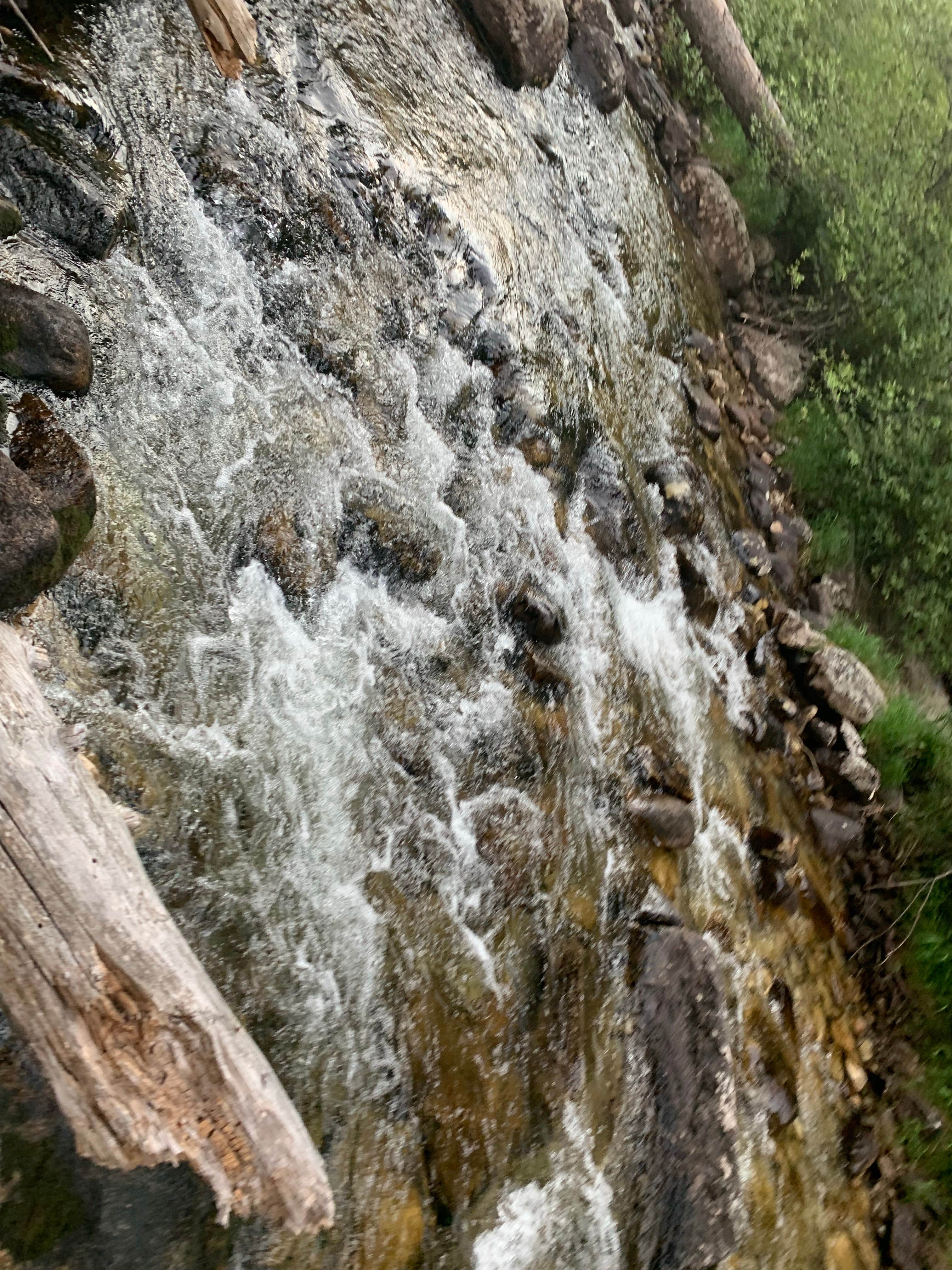 Camper-submitted photo at Blodgett Campground near Hamilton, MT