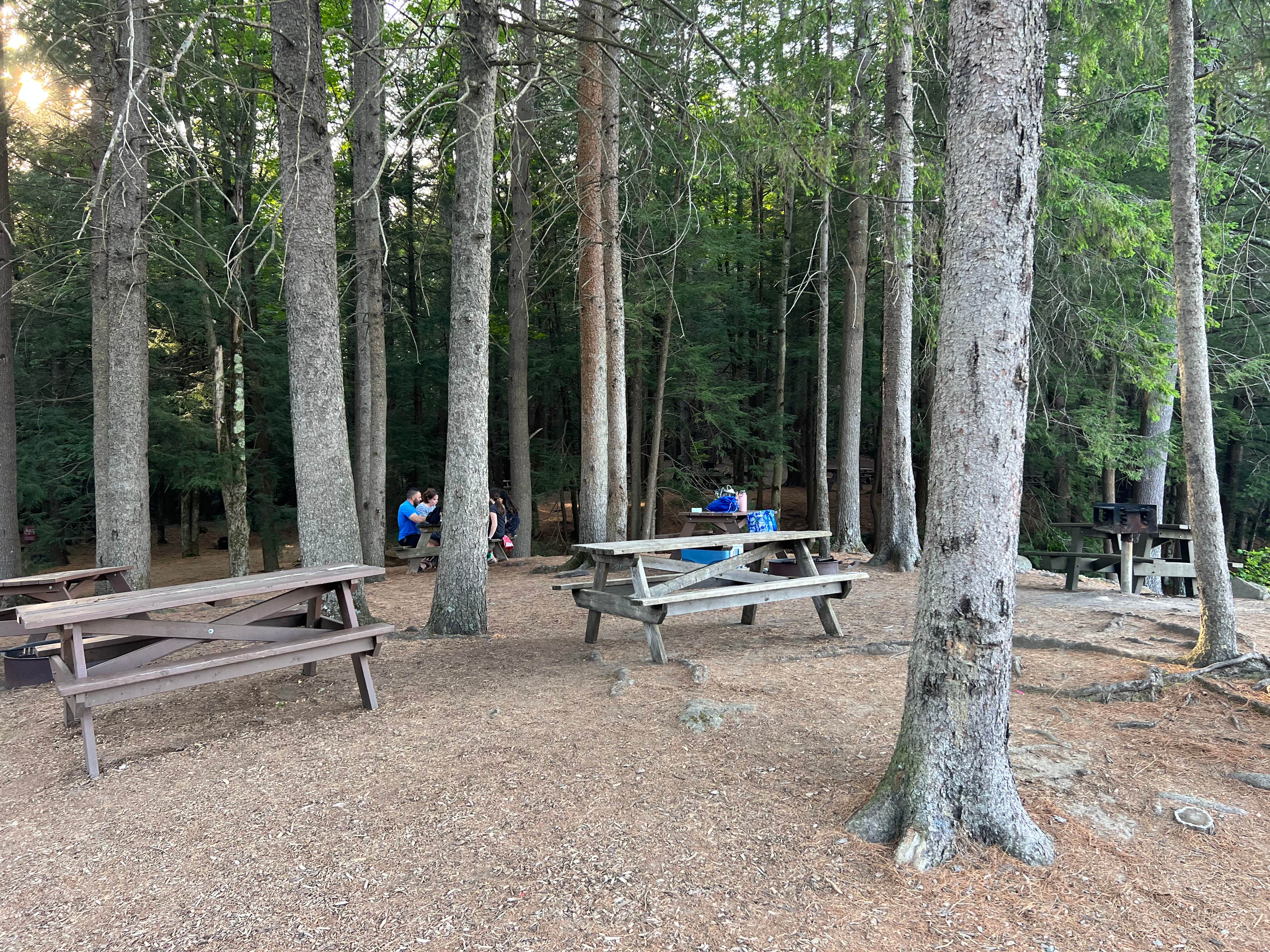 Justin P.'s photo at Daughters of the American Revolution (DAR) State Forest Campground near Leeds, MA