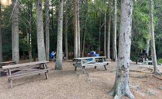 Justin P.'s photo at Daughters of the American Revolution (DAR) State Forest Campground near South Deerfield, MA