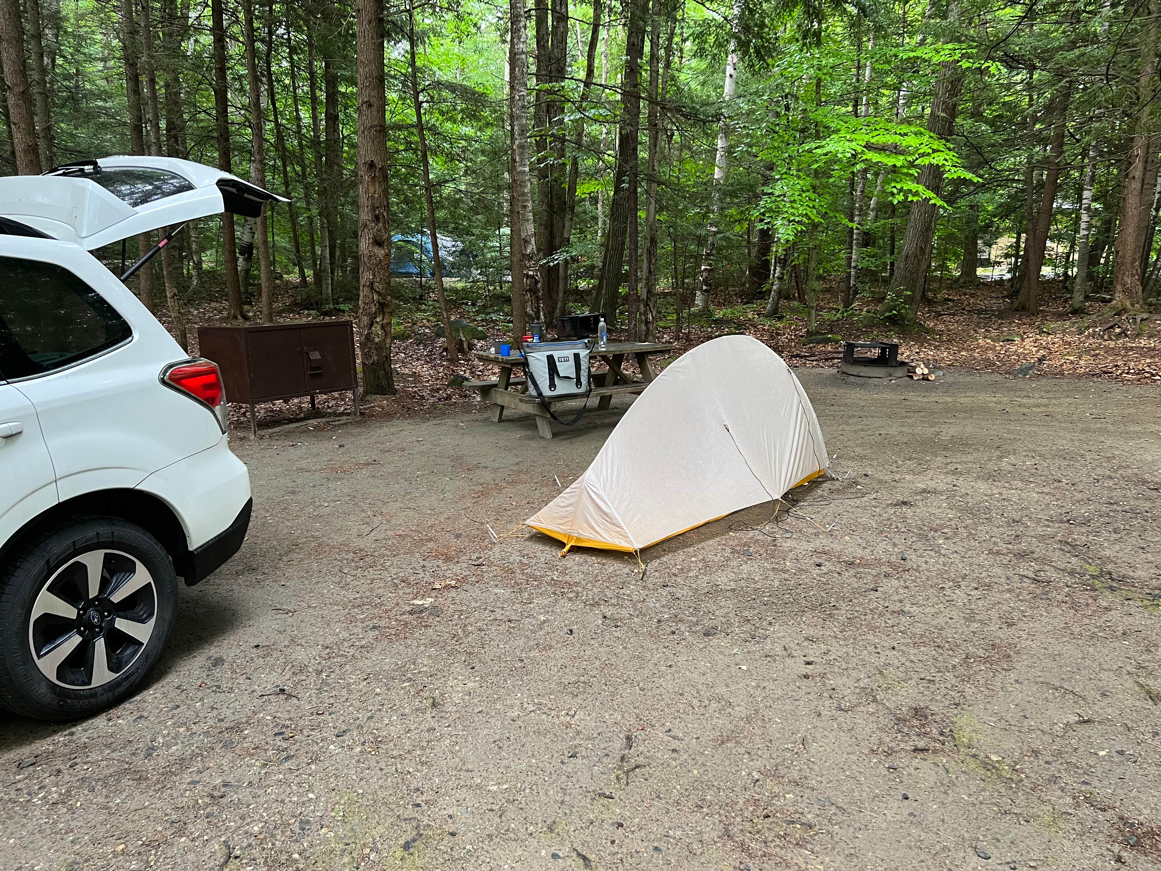Justin P.'s photo at Daughters of the American Revolution (DAR) State Forest Campground near Charlemont, MA
