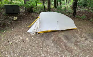 Justin P.'s photo at October Mountain State Forest Campground near Pittsfield, MA