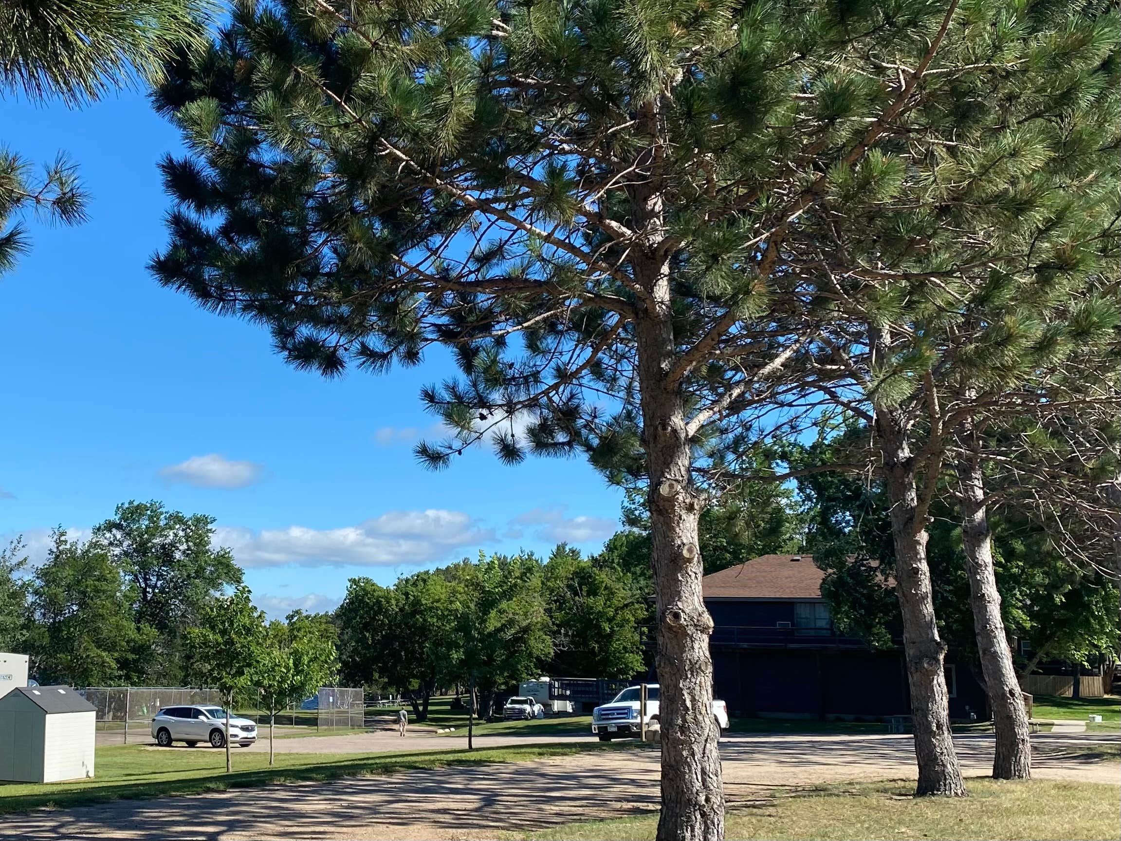 Camper-submitted photo at Birch Bay RV Resort near Palisade, MN