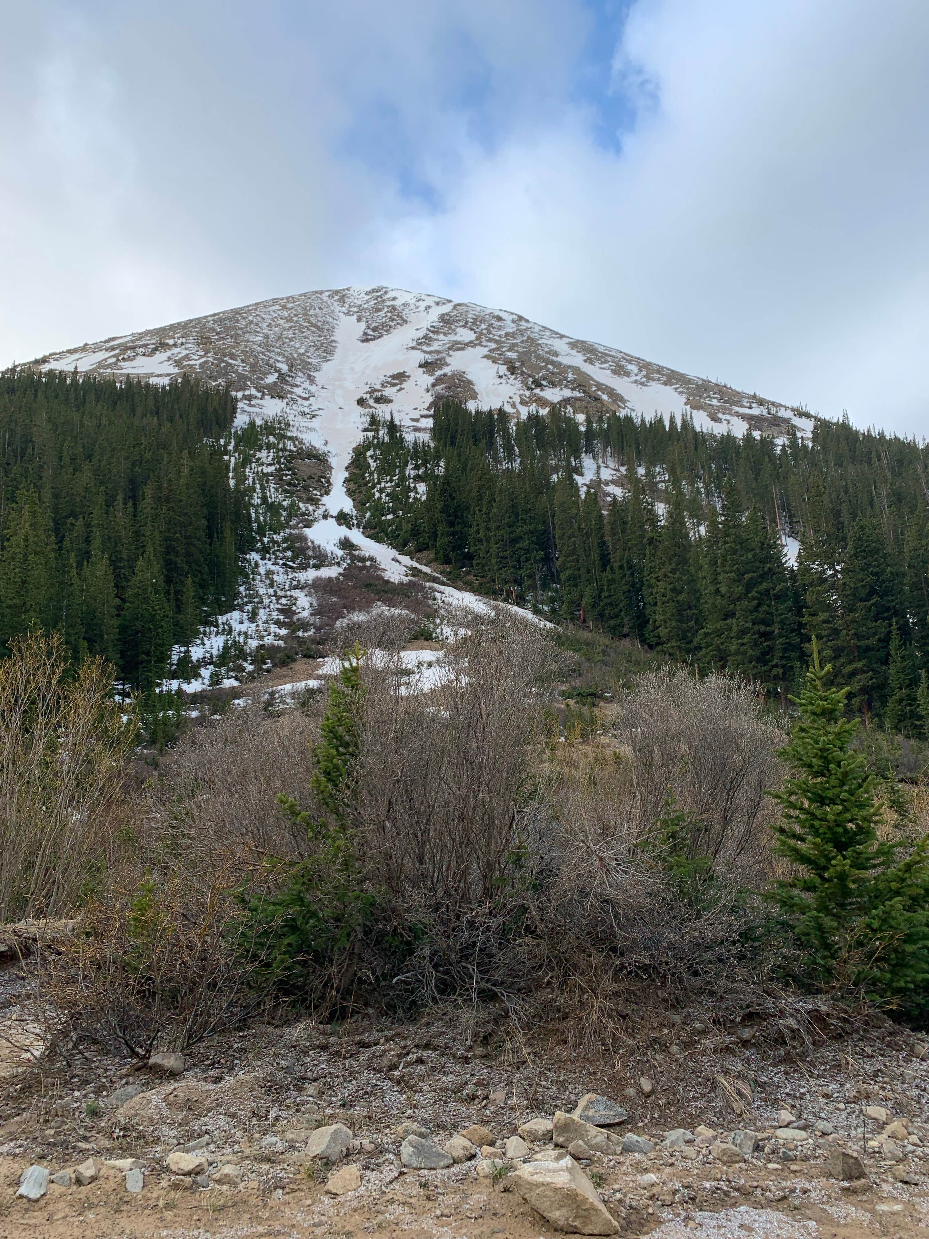 Camper-submitted photo at Grays Peak Summer Trailhead Dispersed Camping near Silver Plume, CO