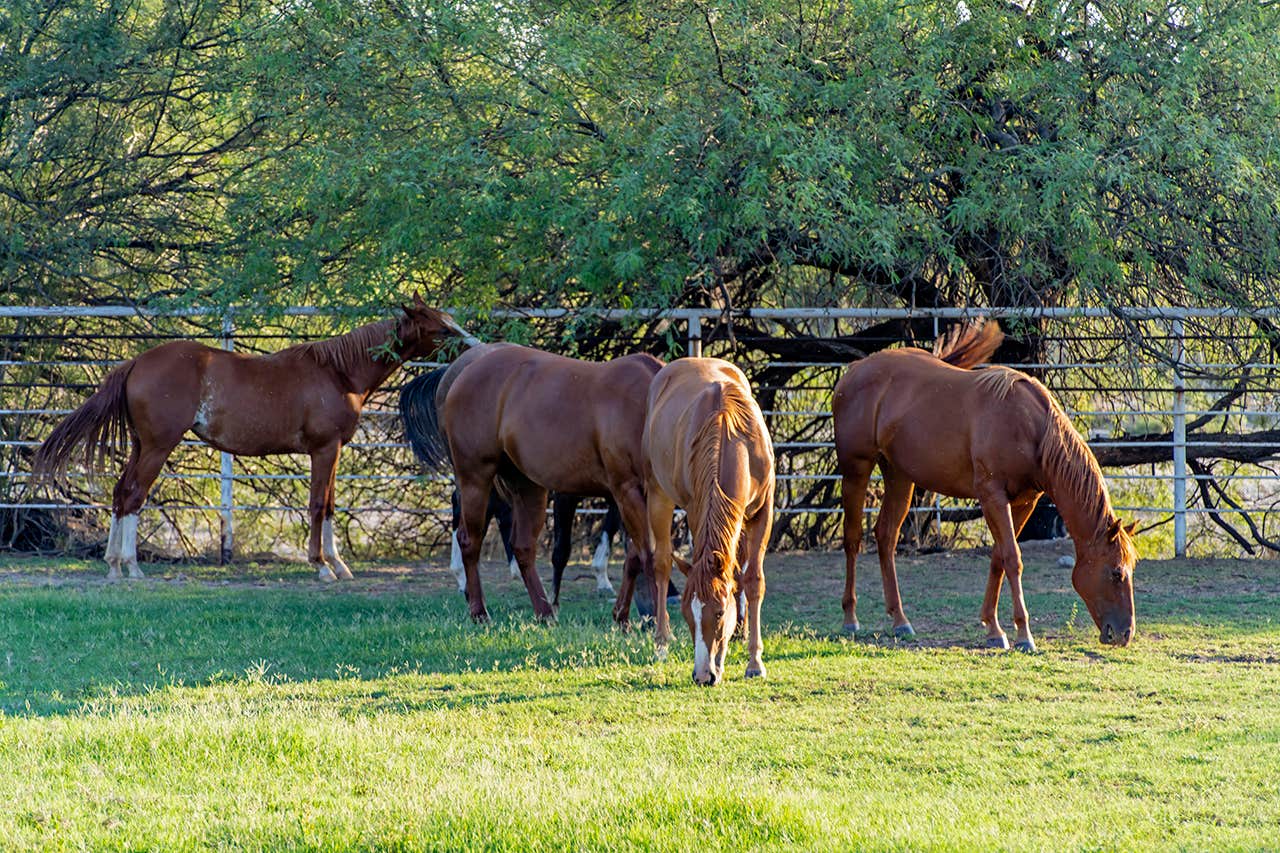 Camper-submitted photo at Aztec Village RV Park near Yarnell, AZ