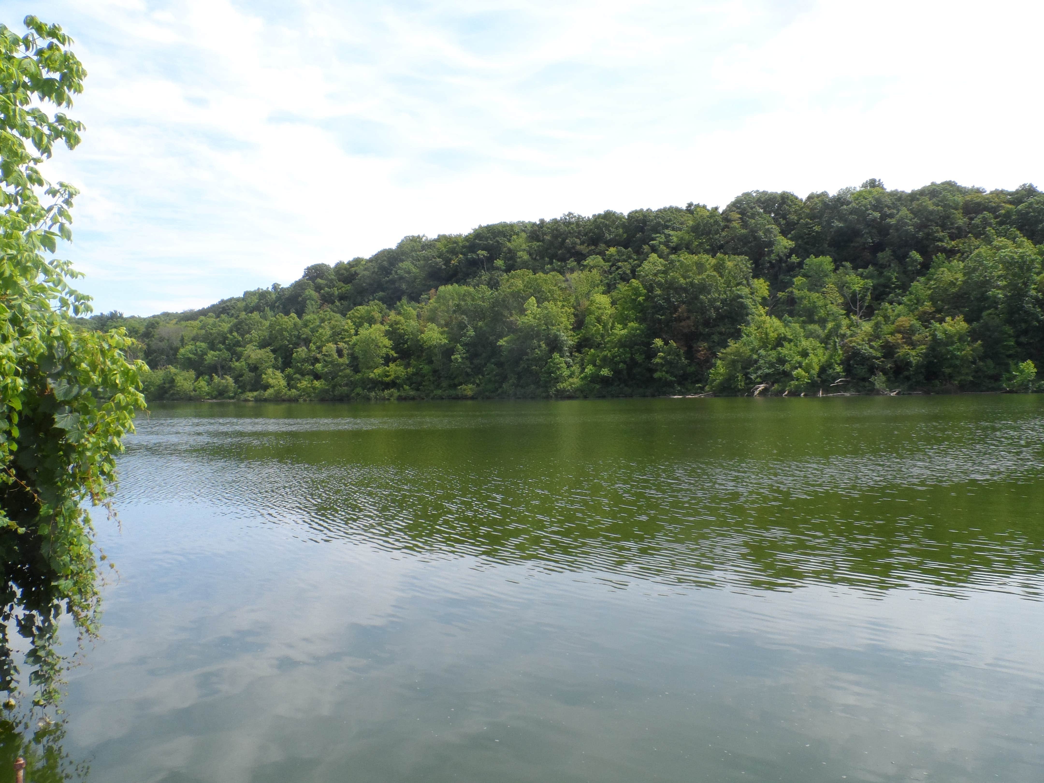 Camper submitted image from Dillon State Park Campground - 5