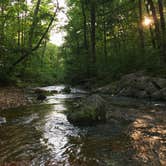 Review photo of Otter Creek Campground — Blue Ridge Parkway by Catherine S., July 22, 2018