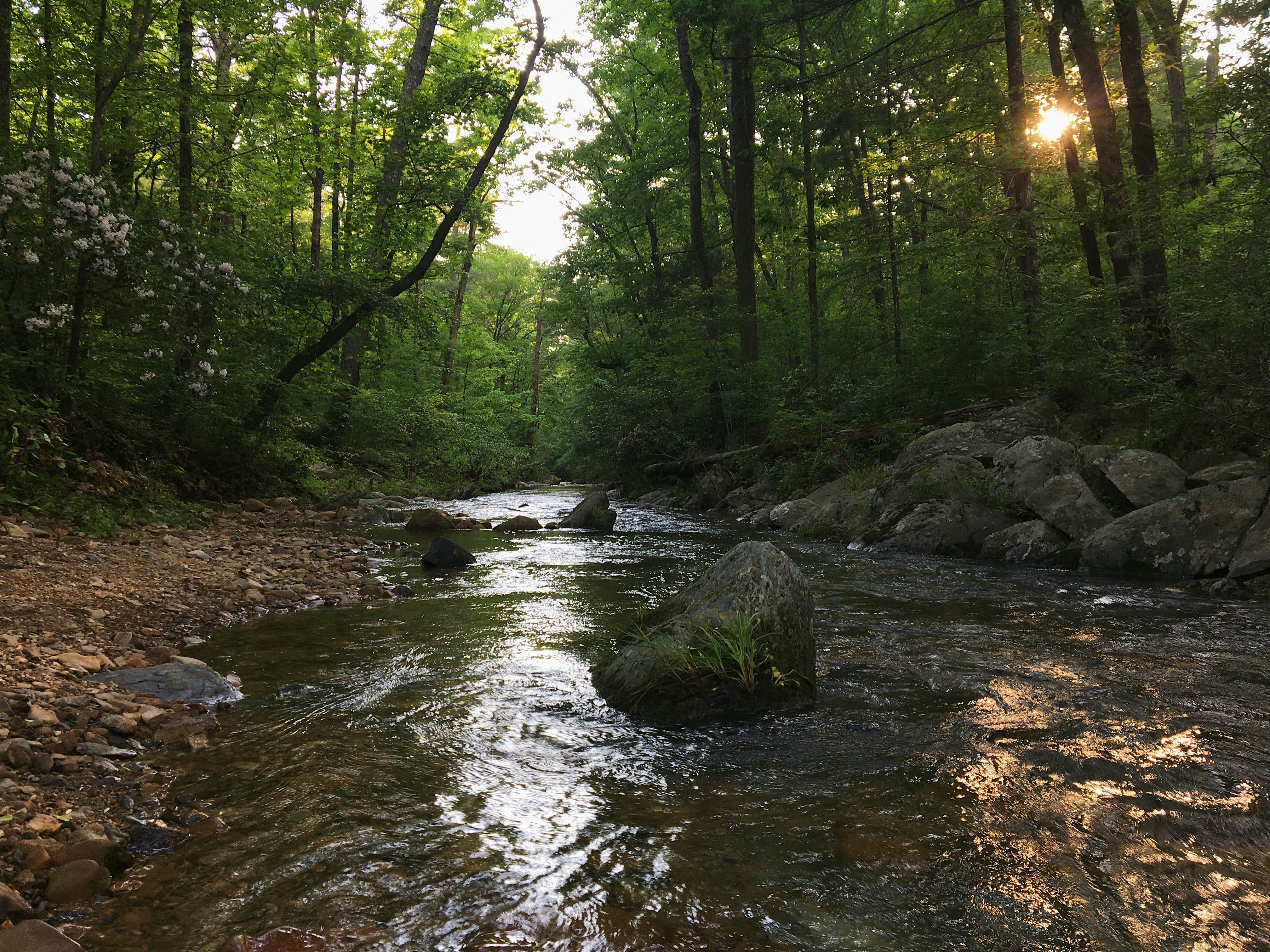 Camper submitted image from Otter Creek Campground — Blue Ridge Parkway - 3