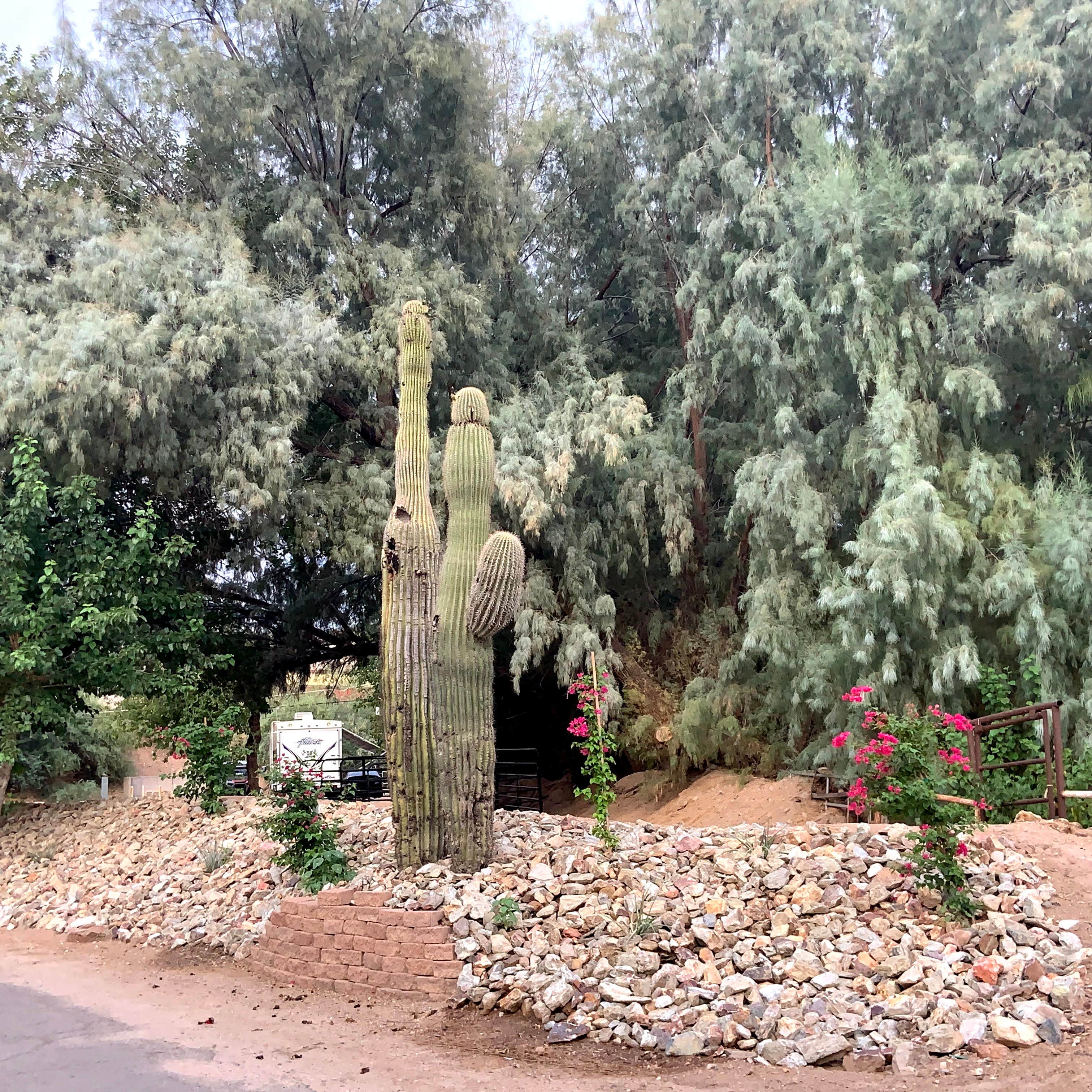 Camper-submitted photo at Aztec Village RV Park near Yarnell, AZ