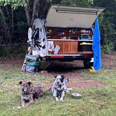 Review photo of Skeenah Campground by Steve V., August 4, 2022