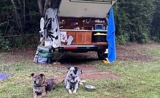 Steve V.'s photo of camping with pets at Skeenah Campground near Chattahoochee-Oconee National Forest