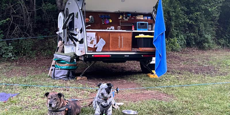 Camper submitted image from Skeenah Campground
