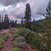 Review photo of Boreas Pass Road Designated Dispersed Camping by Morgan S., August 4, 2022