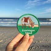 Review photo of Assateague State Park Campground by Catherine S., July 22, 2018