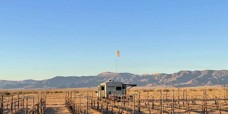 Camper submitted image from Wildcatter Winery