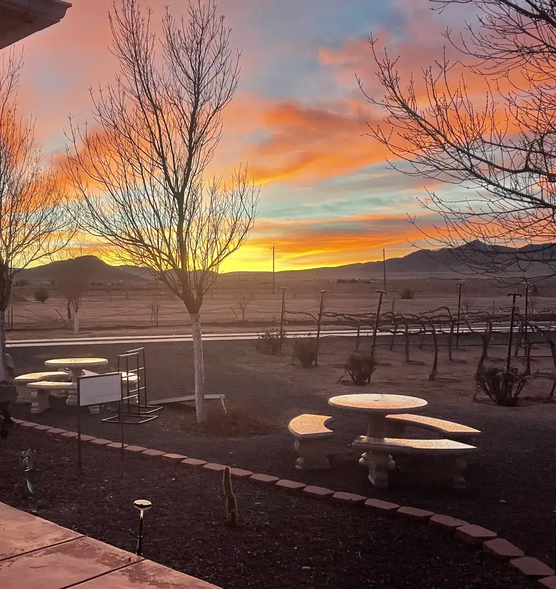 Camper-submitted photo at Cella Winery near Peach Springs, AZ