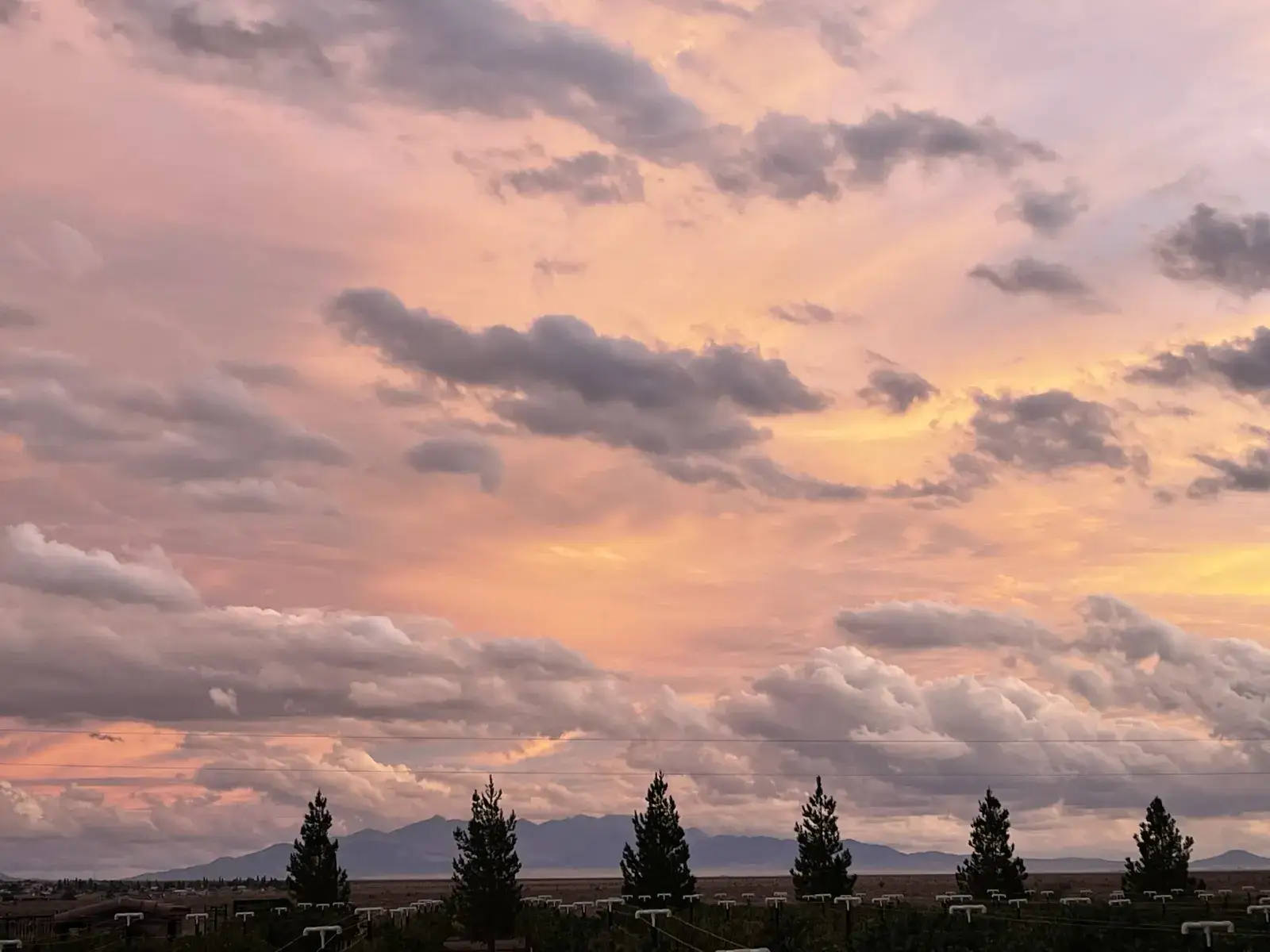 Camper-submitted photo at Cella Winery near Peach Springs, AZ