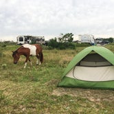 Review photo of Assateague State Park Campground by Catherine S., July 22, 2018