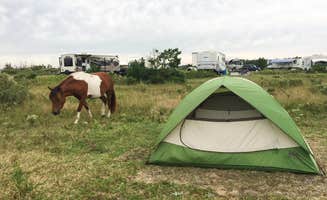 Catherine S.'s photo at Assateague State Park Campground in Maryland